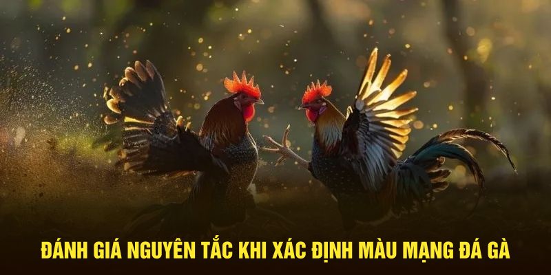 Đánh giá nguyên tắc khi xác định màu mạng đá gà