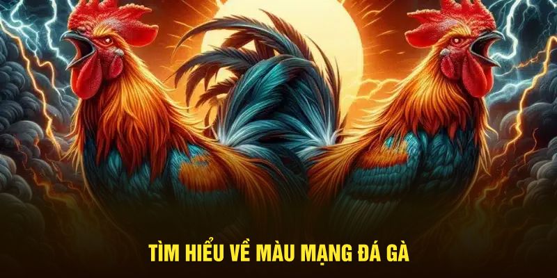 Tìm hiểu về màu mạng đá gà
